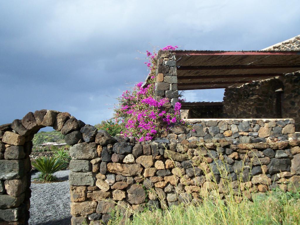 Zibibbodoro Farm stay