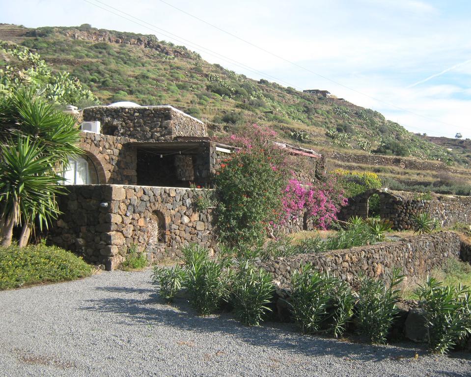 Farm stay Zibibbodoro Scauri (Sicily)