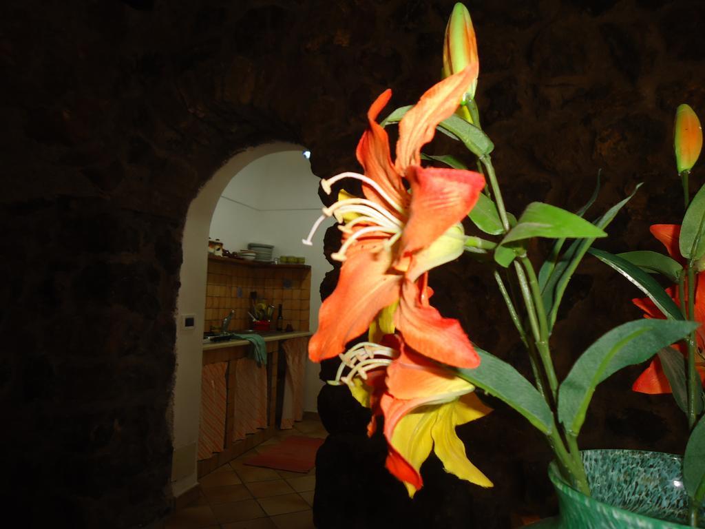 Zibibbodoro Scauri (Sicily)