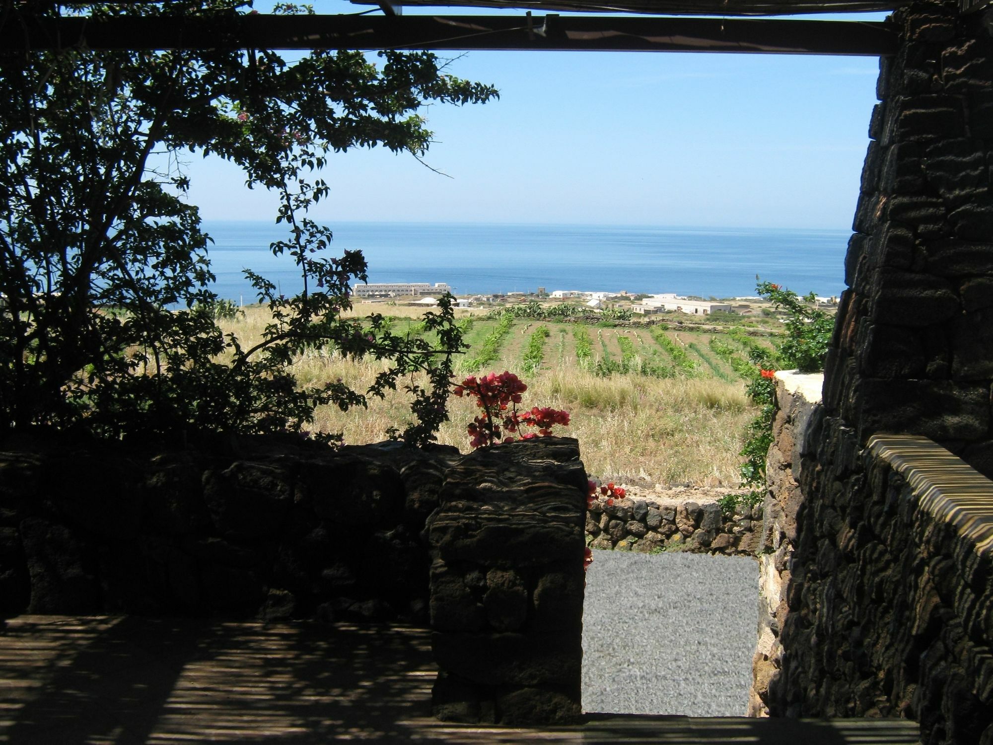 Farm stay Zibibbodoro Scauri (Sicily)