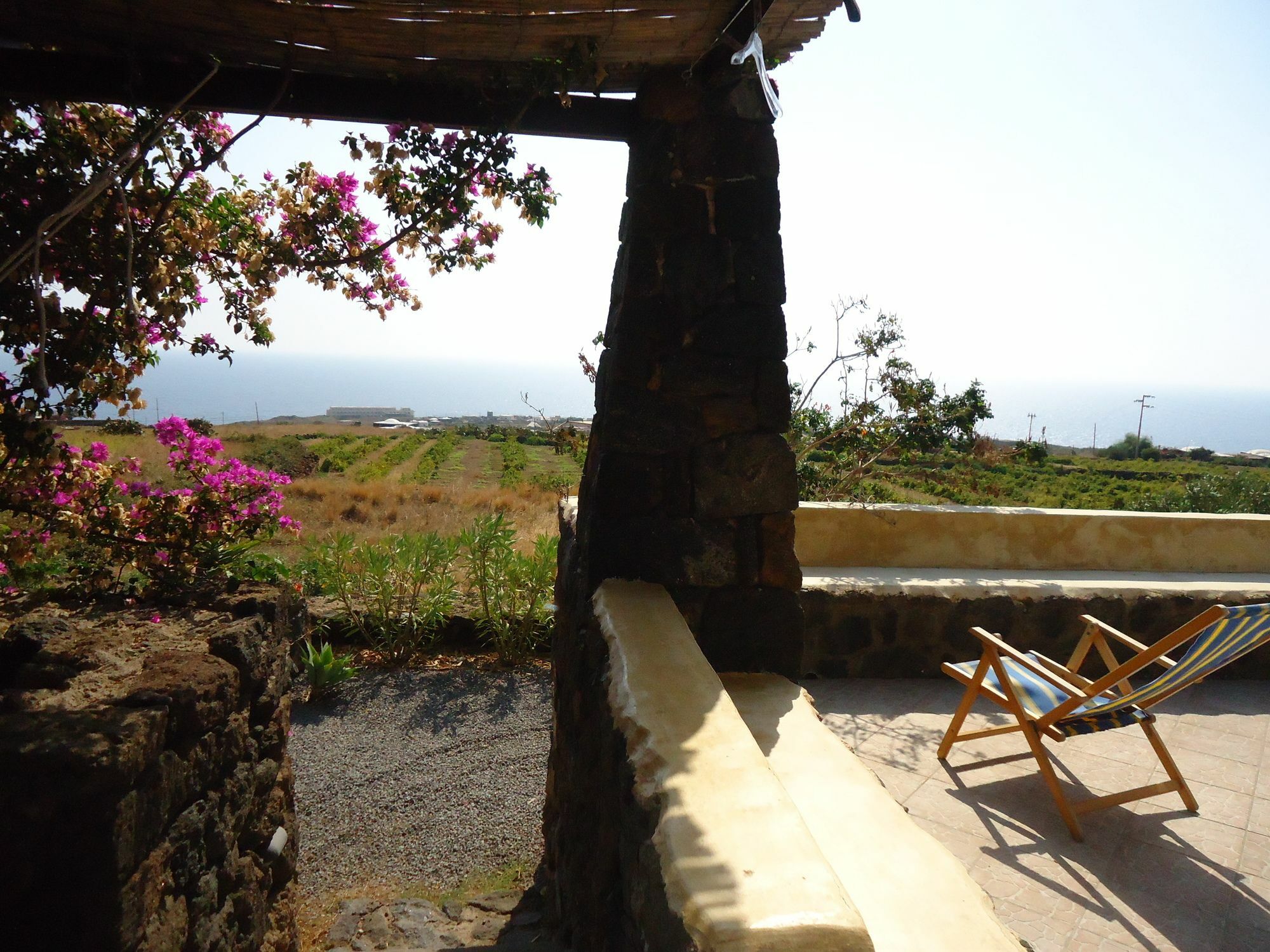 Zibibbodoro Farm stay *
