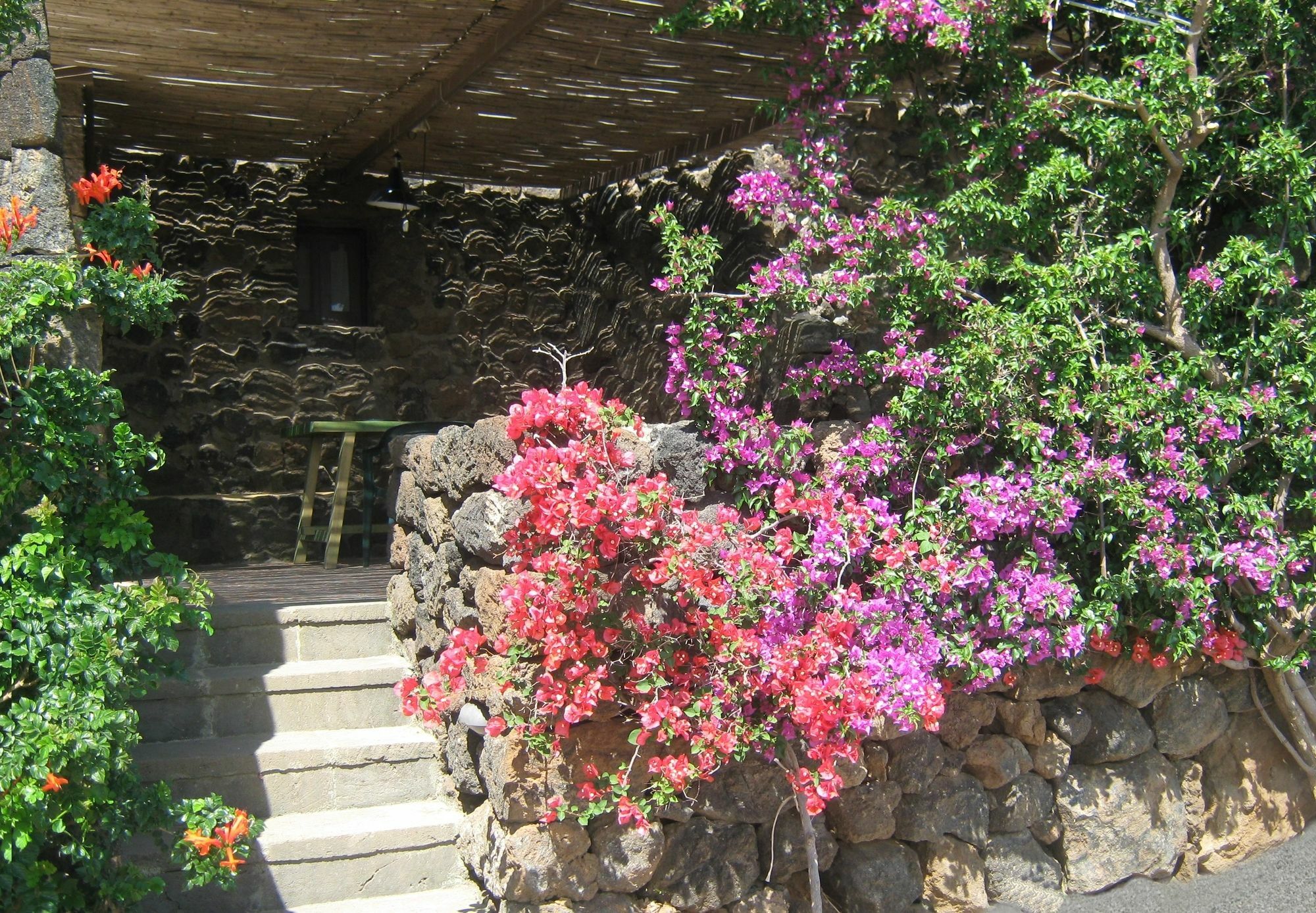Farm stay Zibibbodoro *