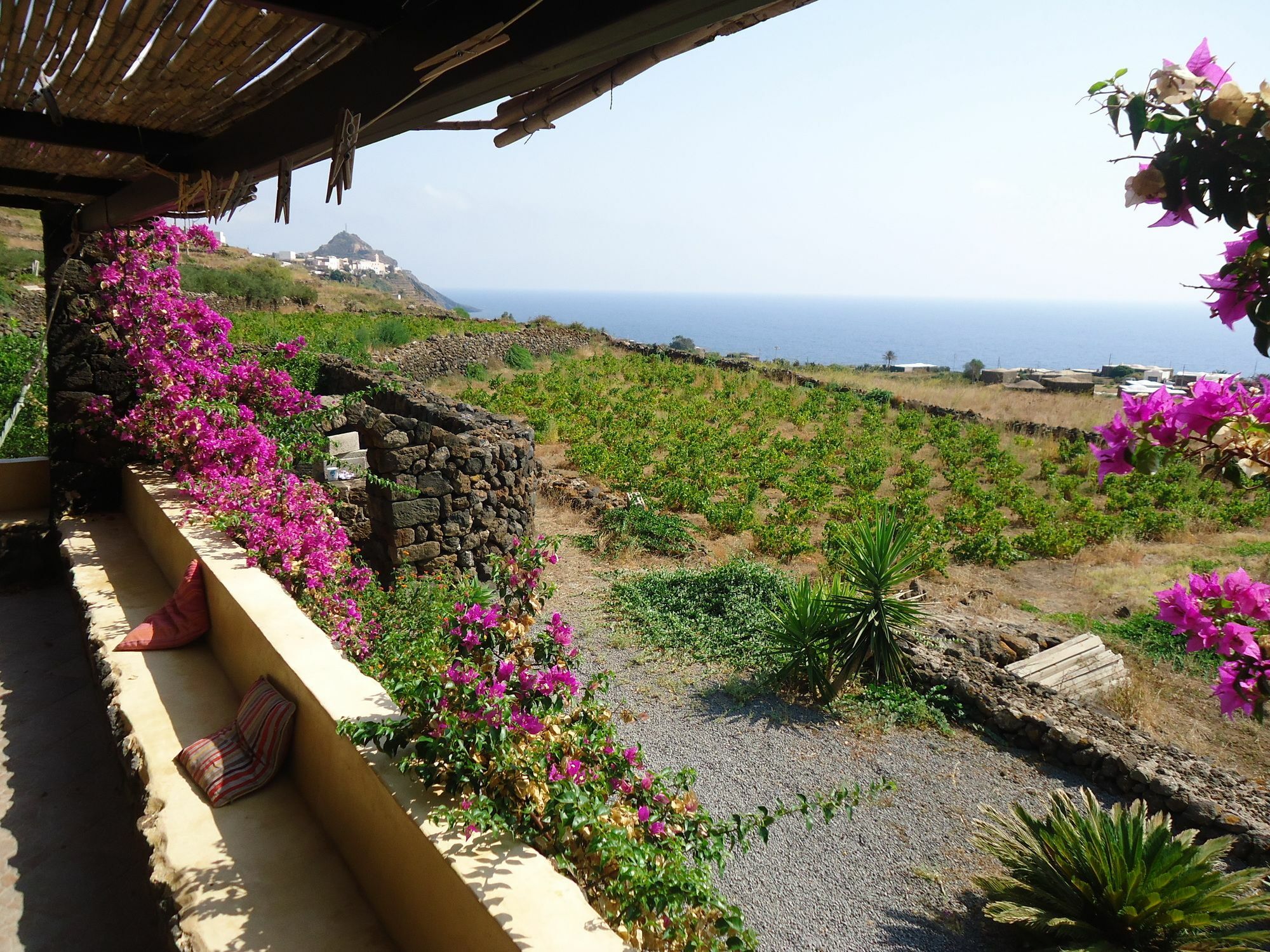Zibibbodoro Farm stay Scauri (Sicily)